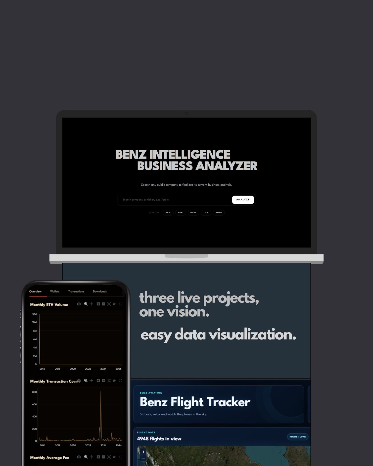 Portfolio overview showing Benz data products across desktop and mobile devices